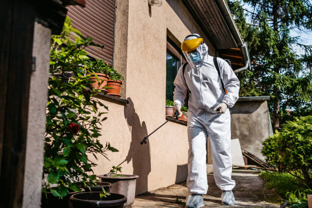 Best Mosquito Control Services  in Calcutta, OH