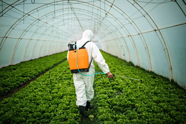 Best Wildlife Control Services  in Calcutta, OH