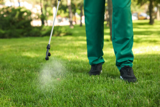 Best Bird Control  in Calcutta, OH