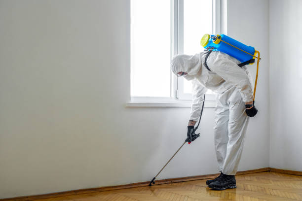 Best Pest Removal Services  in Calcutta, OH